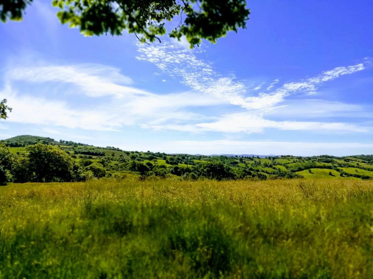 B&B Maremma'S Dream Catabbio Zewnętrze zdjęcie