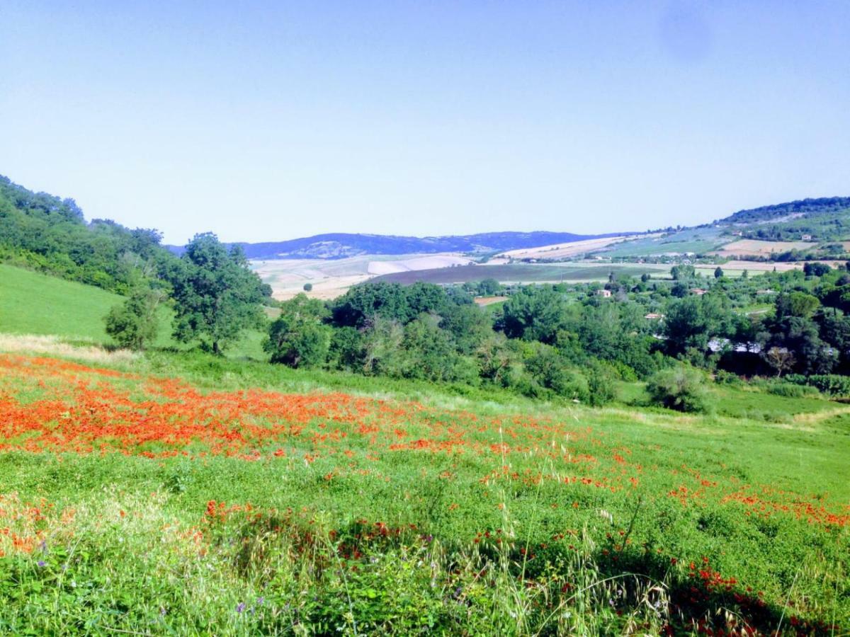 B&B Maremma'S Dream Catabbio Zewnętrze zdjęcie